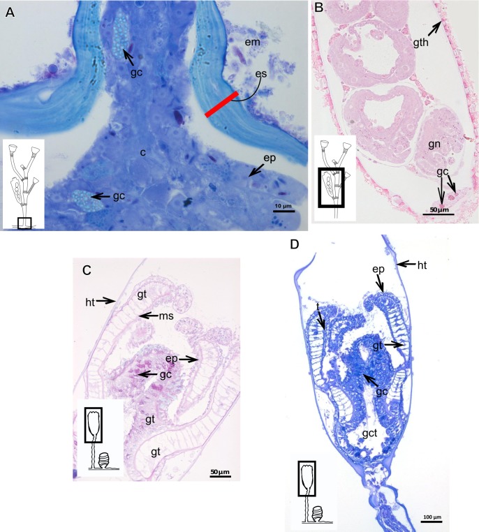 Figure 16