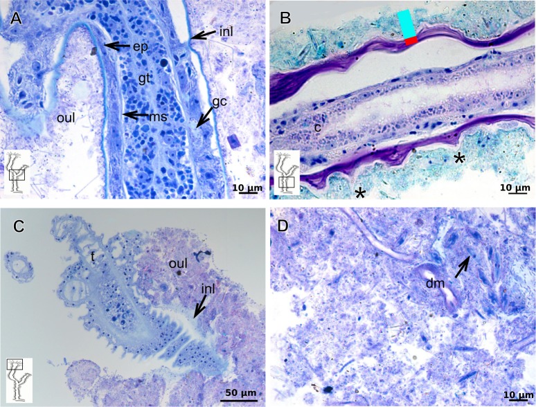 Figure 15