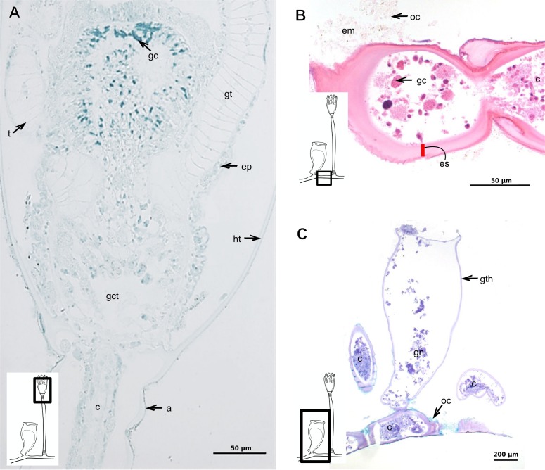 Figure 18