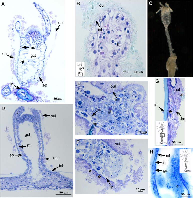 Figure 21