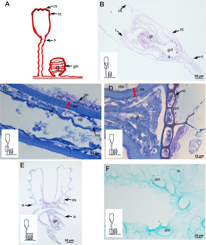 Figure 19