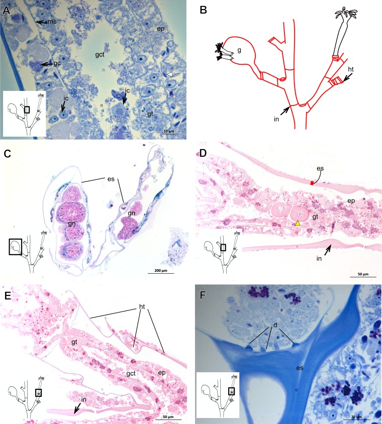 Figure 17