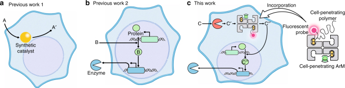 Fig. 1