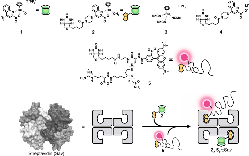 Fig. 2