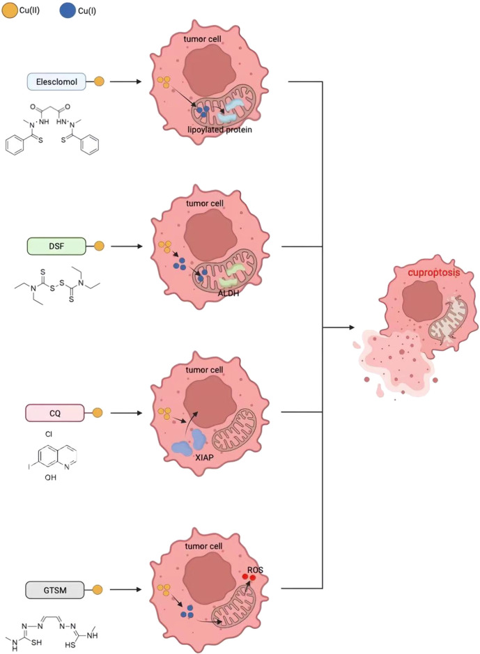 FIGURE 5