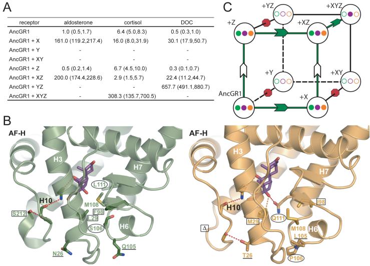 Fig. 3