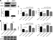 FIG 6