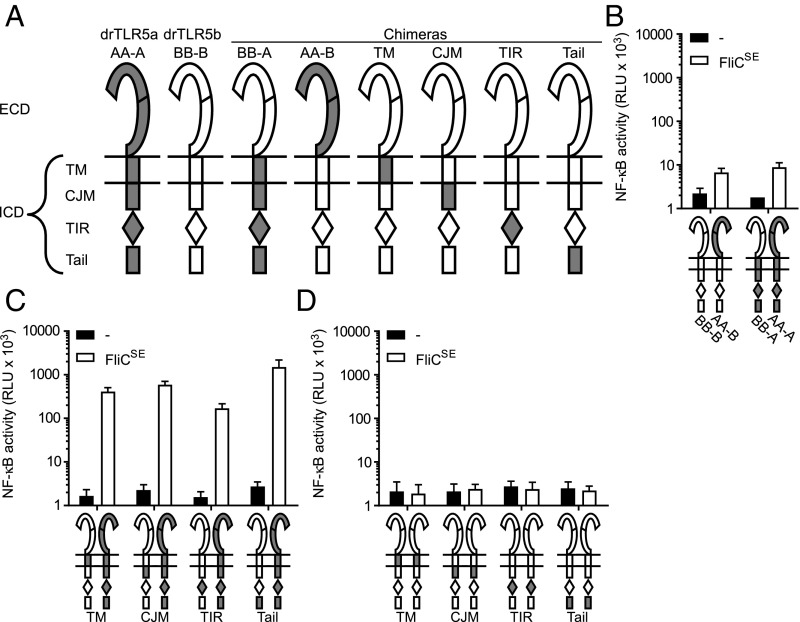 Fig. 7.