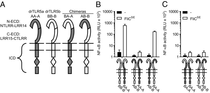 Fig. 4.