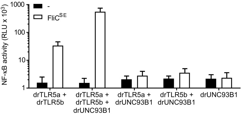 Fig. 3.