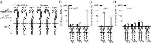 Fig. 6.