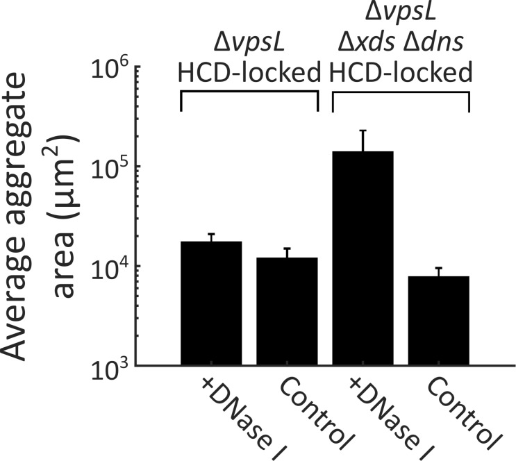 Figure 4—figure supplement 3.