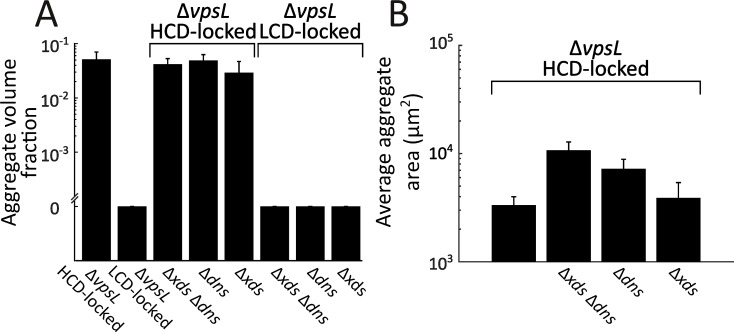 Figure 4—figure supplement 1.