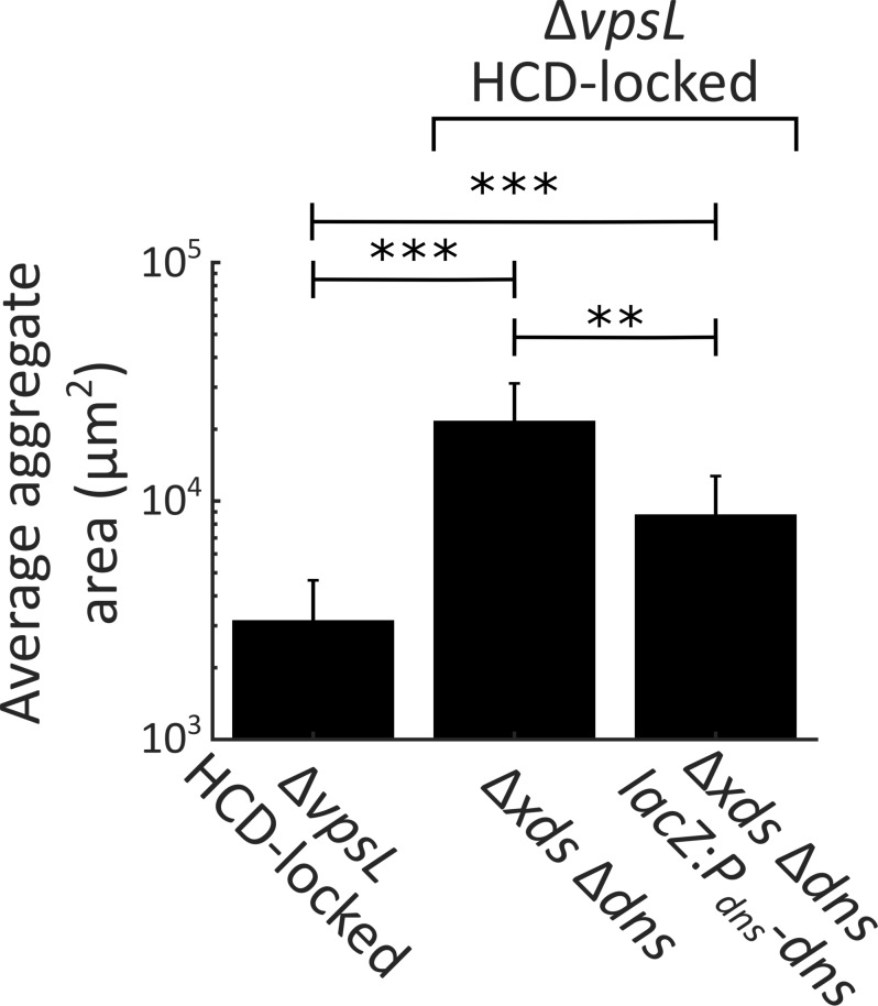 Figure 4—figure supplement 2.