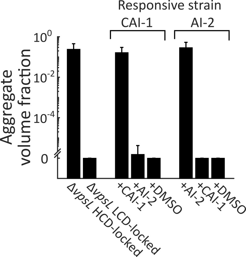 Figure 3—figure supplement 1.