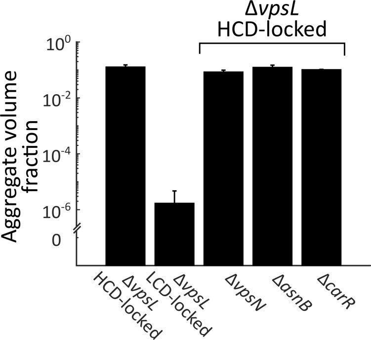 Figure 2—figure supplement 3.