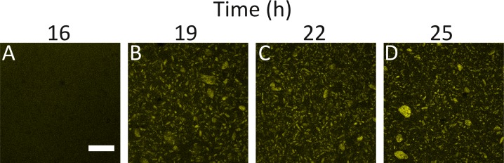 Figure 2—figure supplement 5.