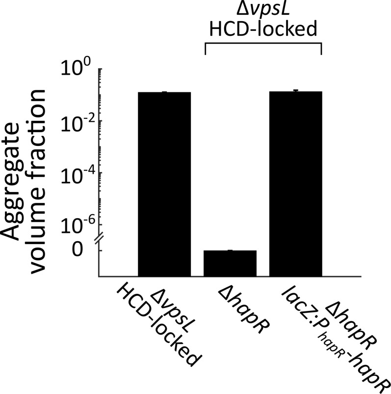 Figure 3—figure supplement 4.