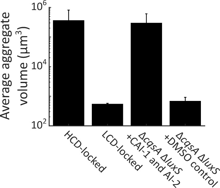 Figure 3—figure supplement 2.