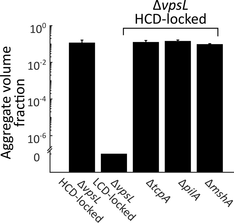 Figure 2—figure supplement 4.