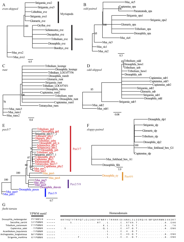 Supplementary Fig. S1