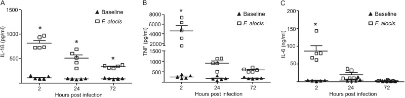 FIG 4