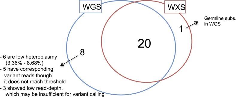 Figure 1—figure supplement 3.