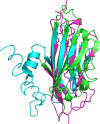 Fig 5