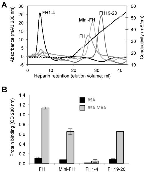 FIGURE 3