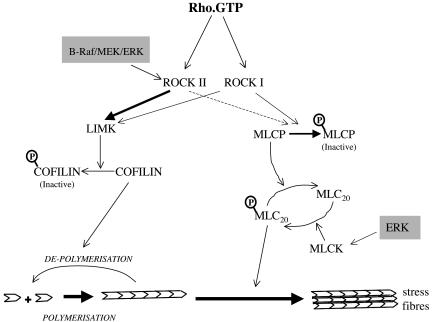 FIG. 9.