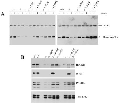 FIG. 8.