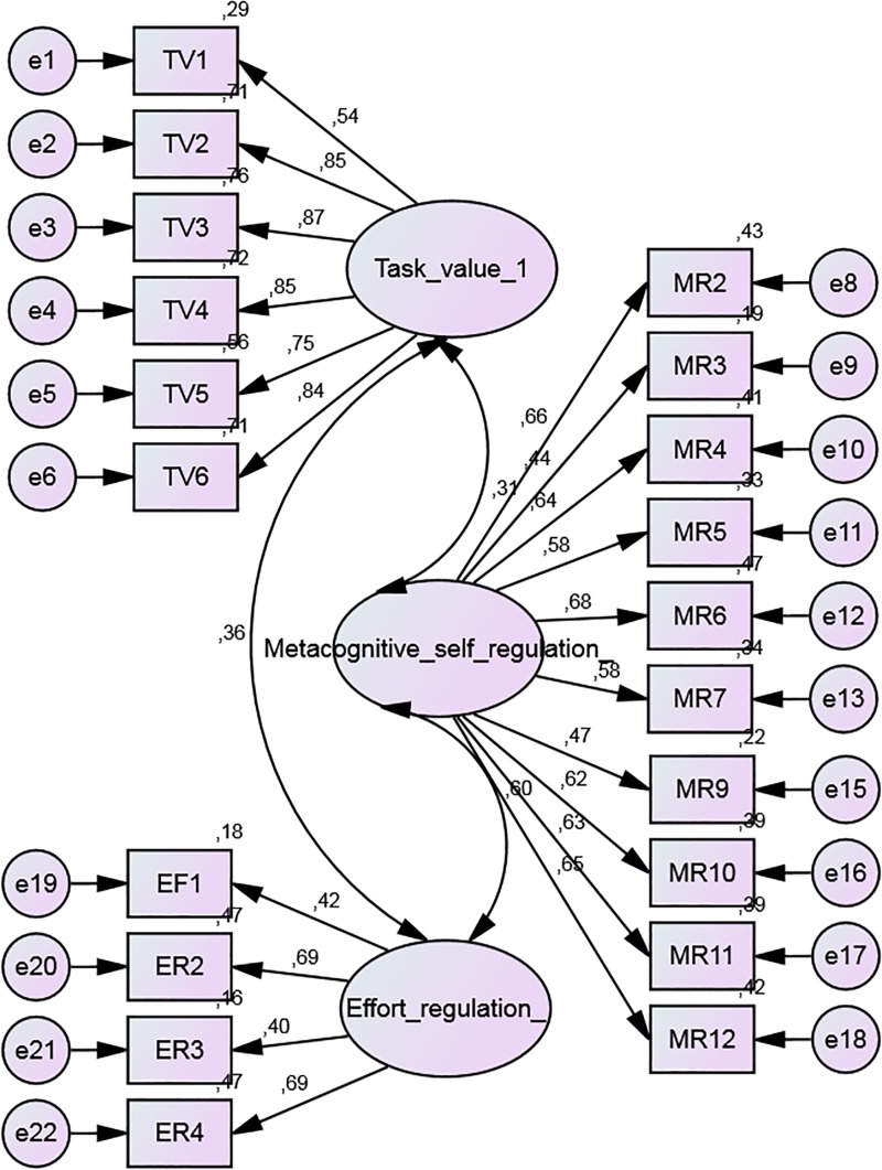 FIGURE 1