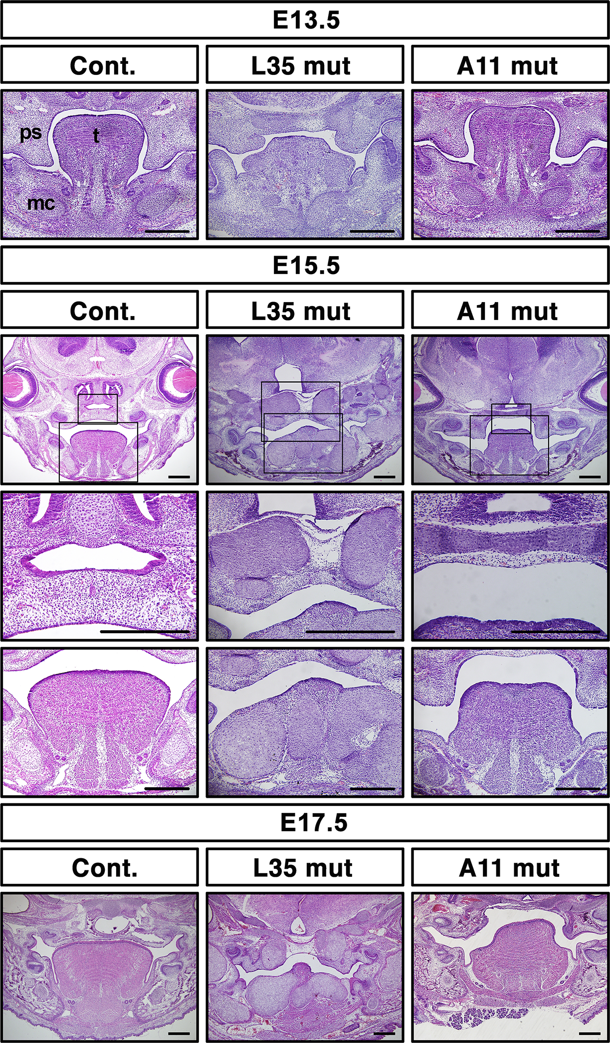 FIGURE 3