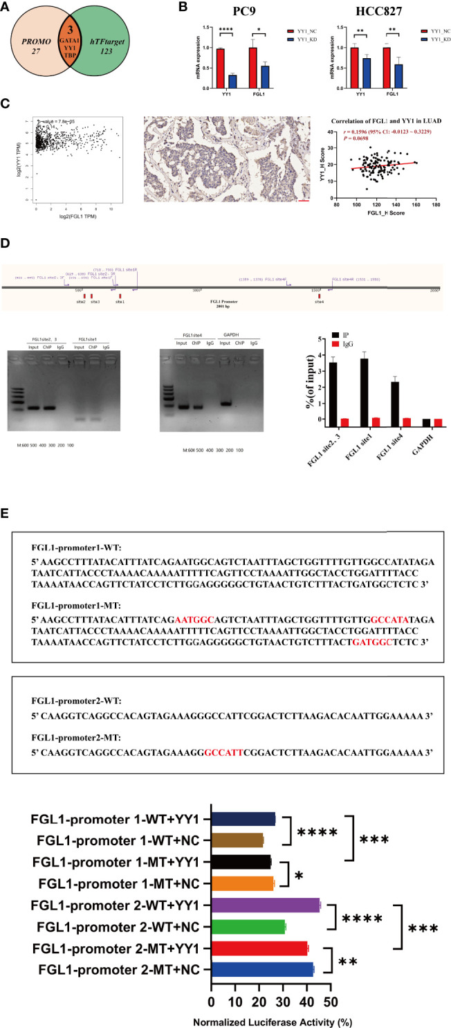 Figure 5