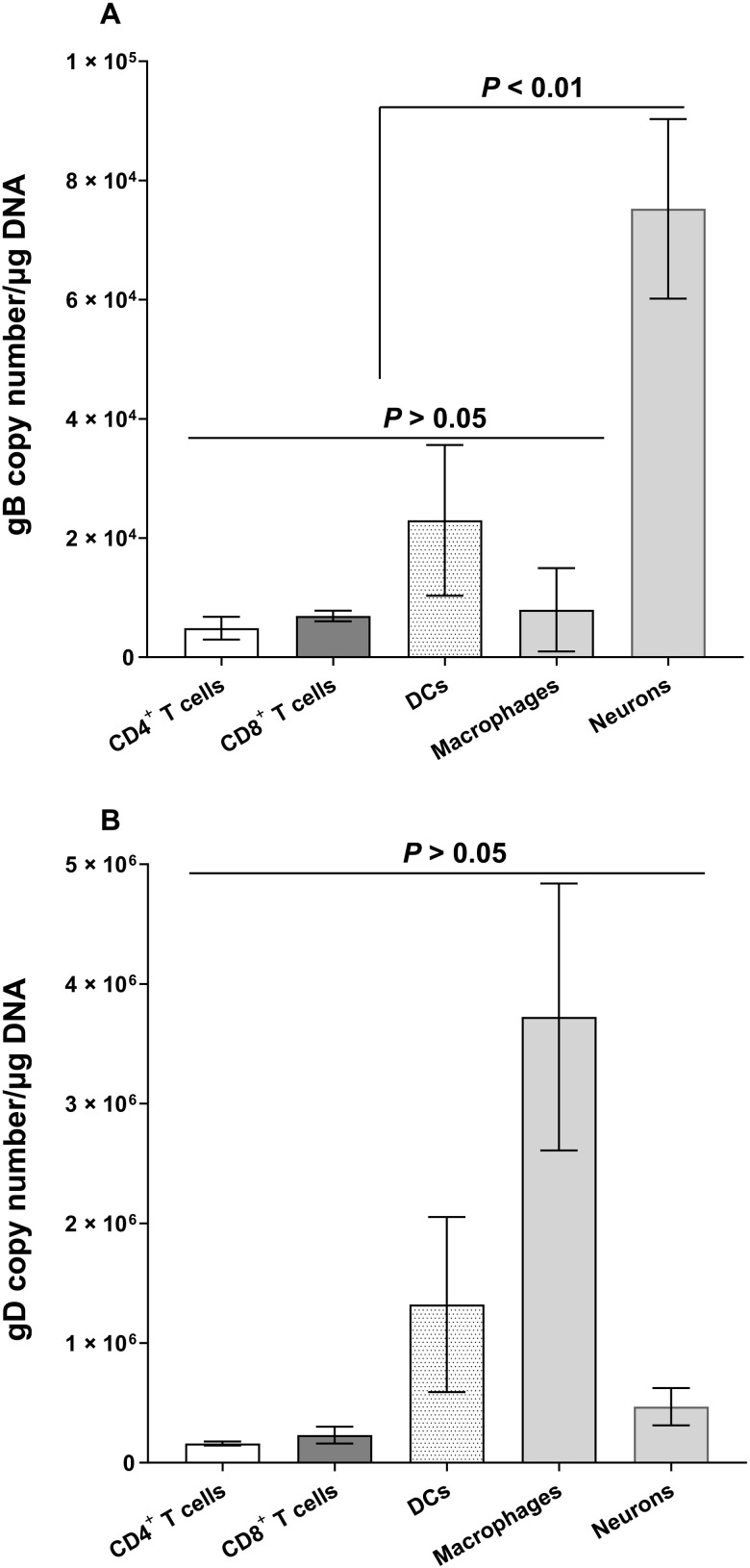 Fig. 6.