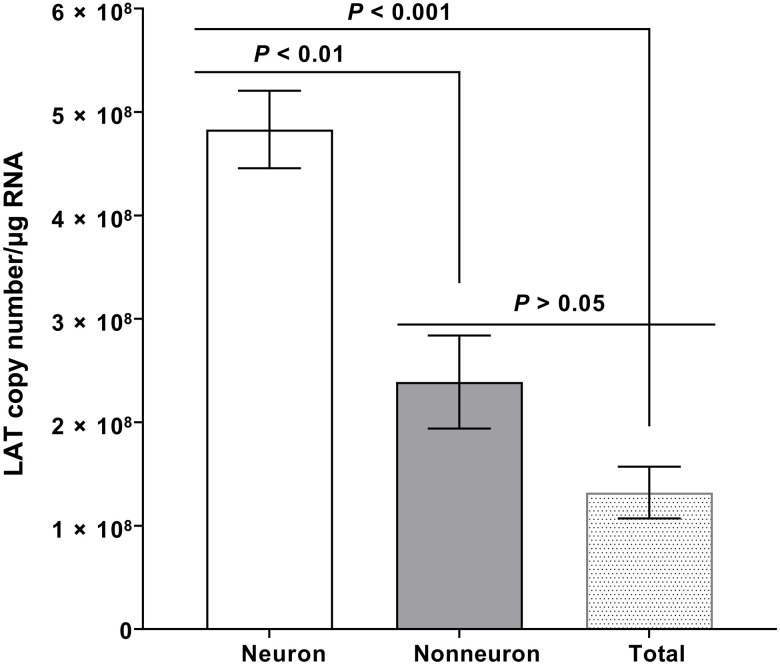 Fig. 1.