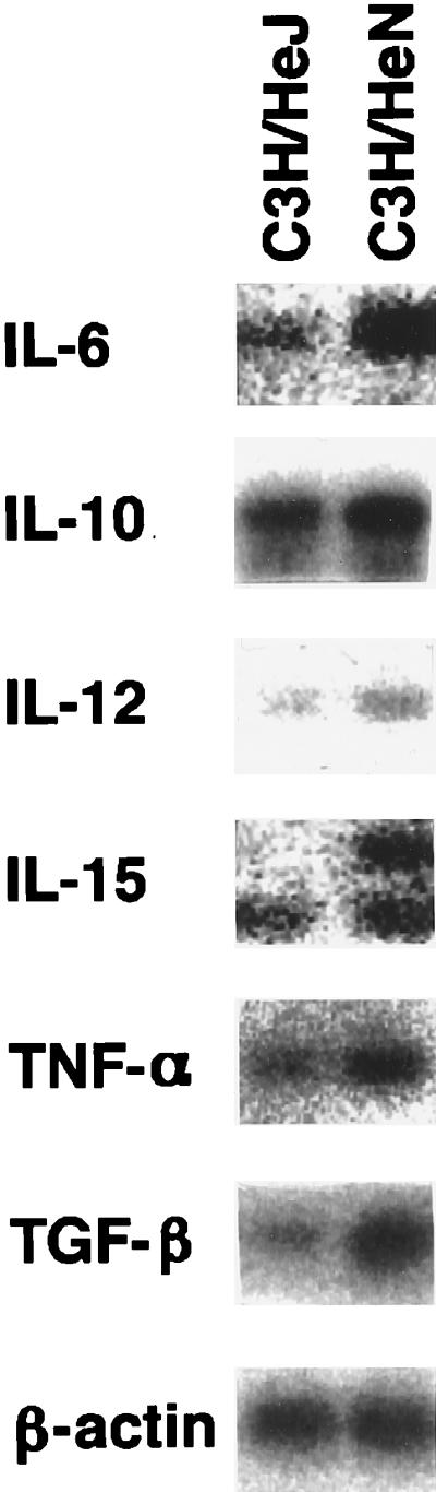 FIG. 7