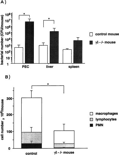 FIG. 6