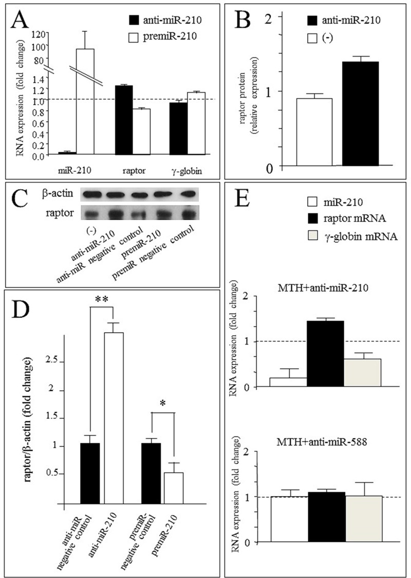 Fig 12