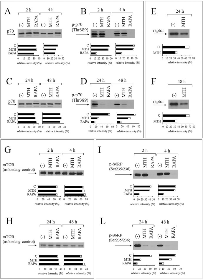 Fig 10