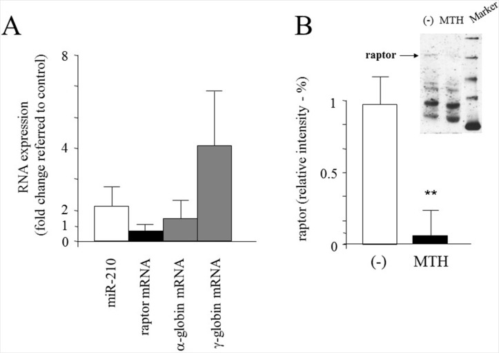 Fig 11