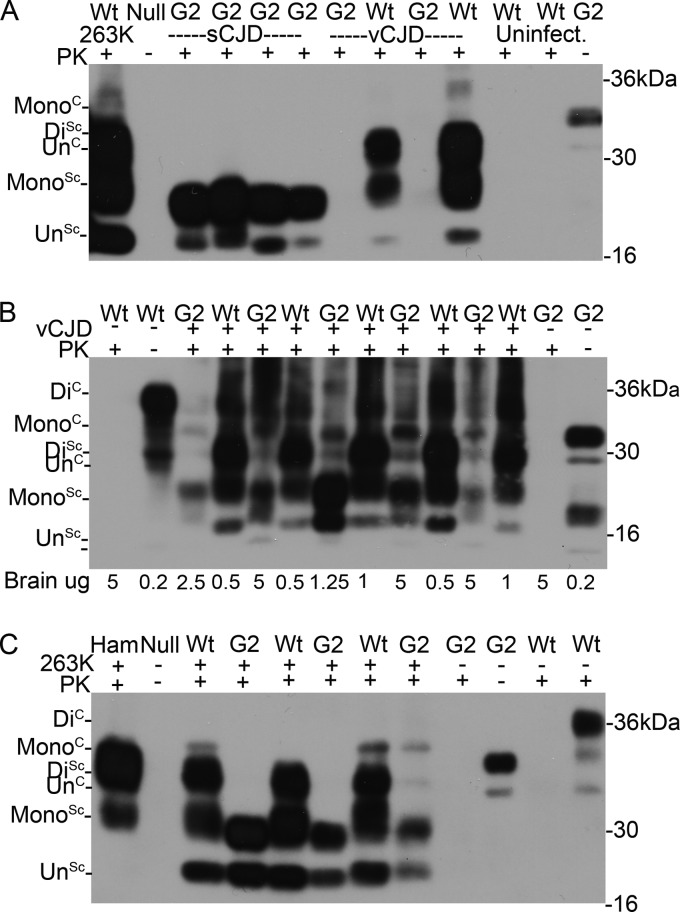 FIG 3