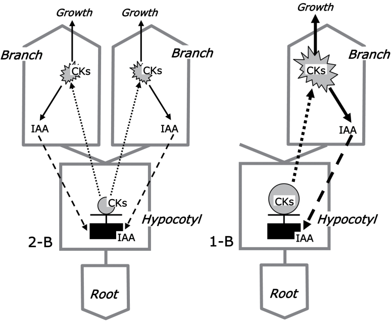 Fig. 6.