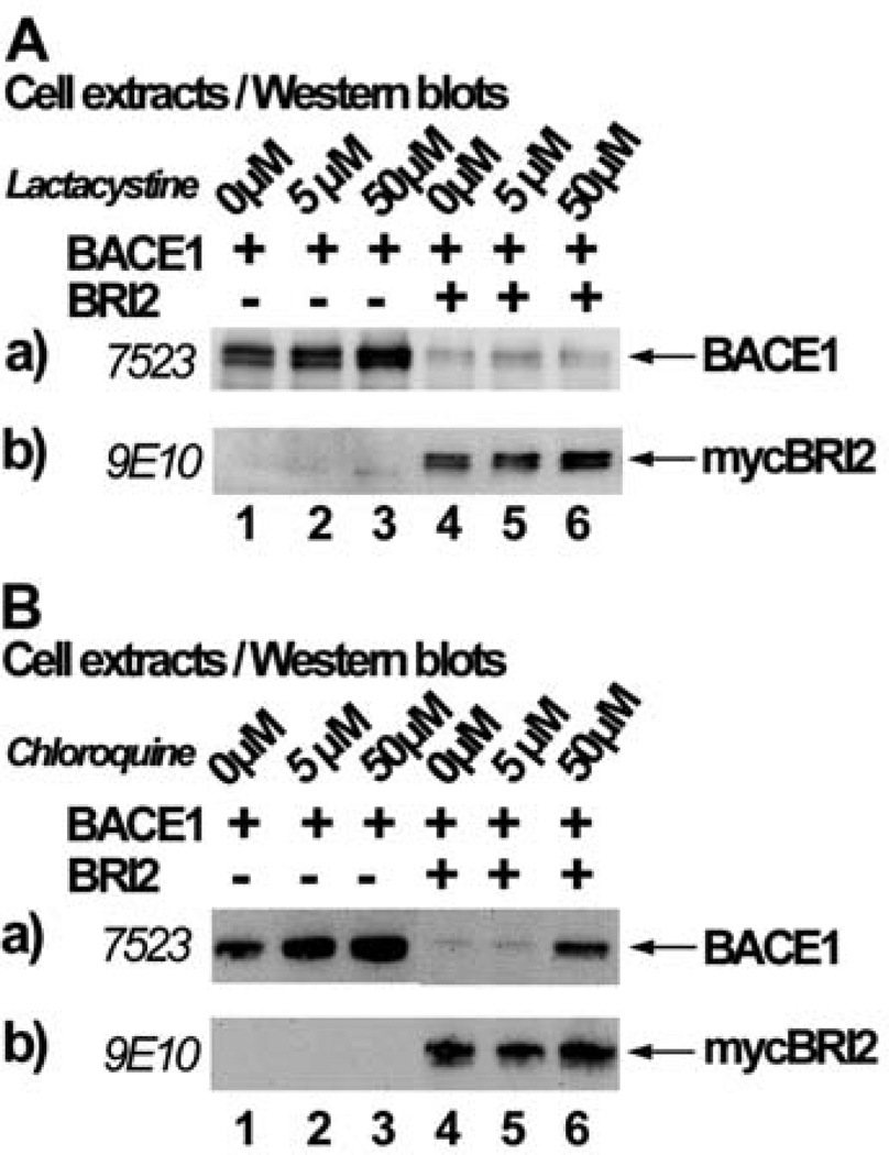 Fig. (5)