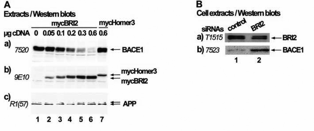 Fig. (4)