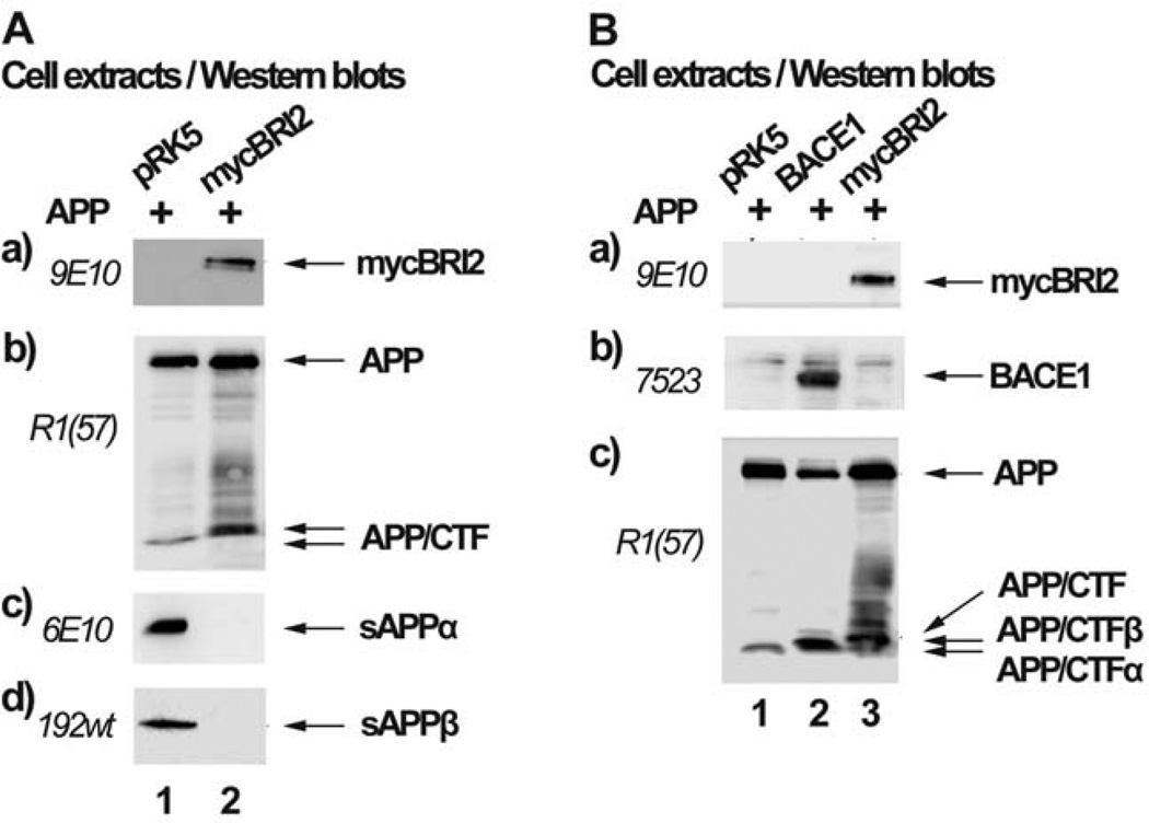 Fig. (1)