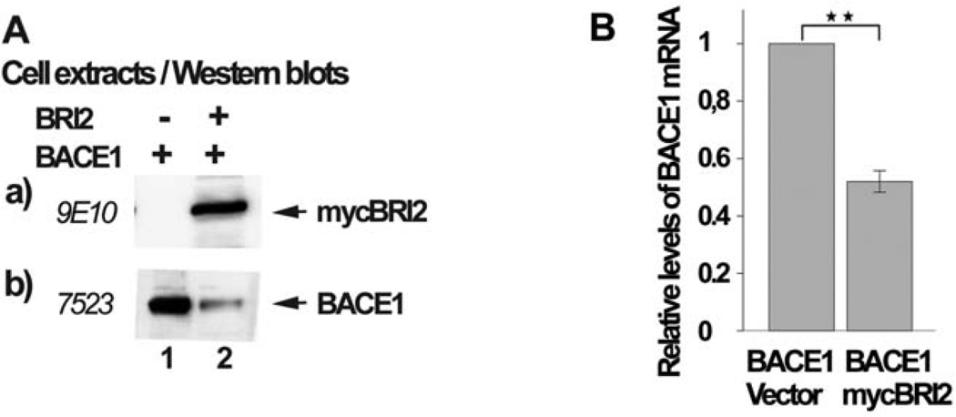 Fig. (6)