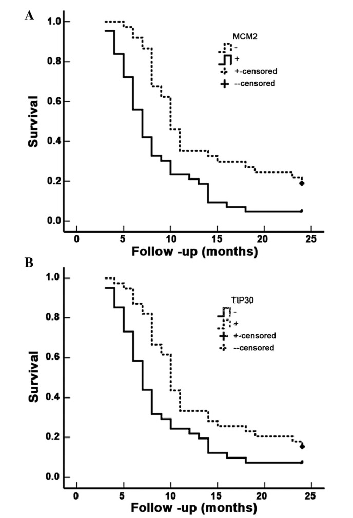 Figure 4.