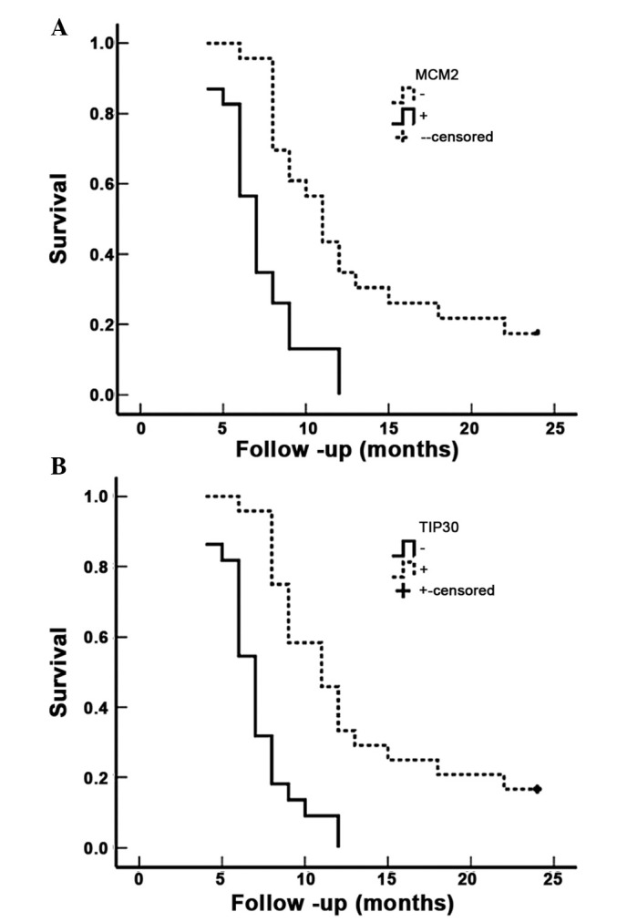 Figure 3.