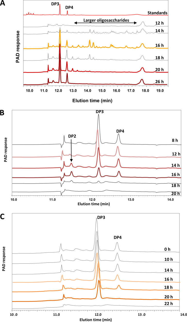 FIG 3